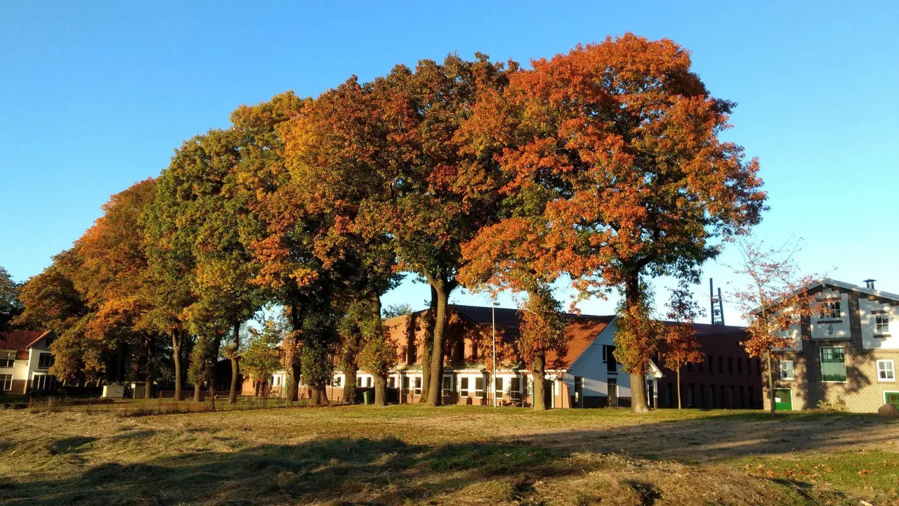 abdijkoningshof