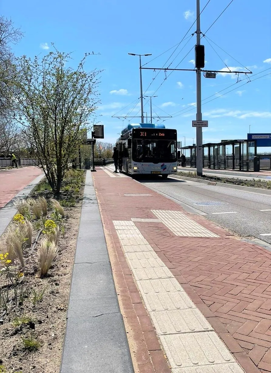bushalte rijnstraat
