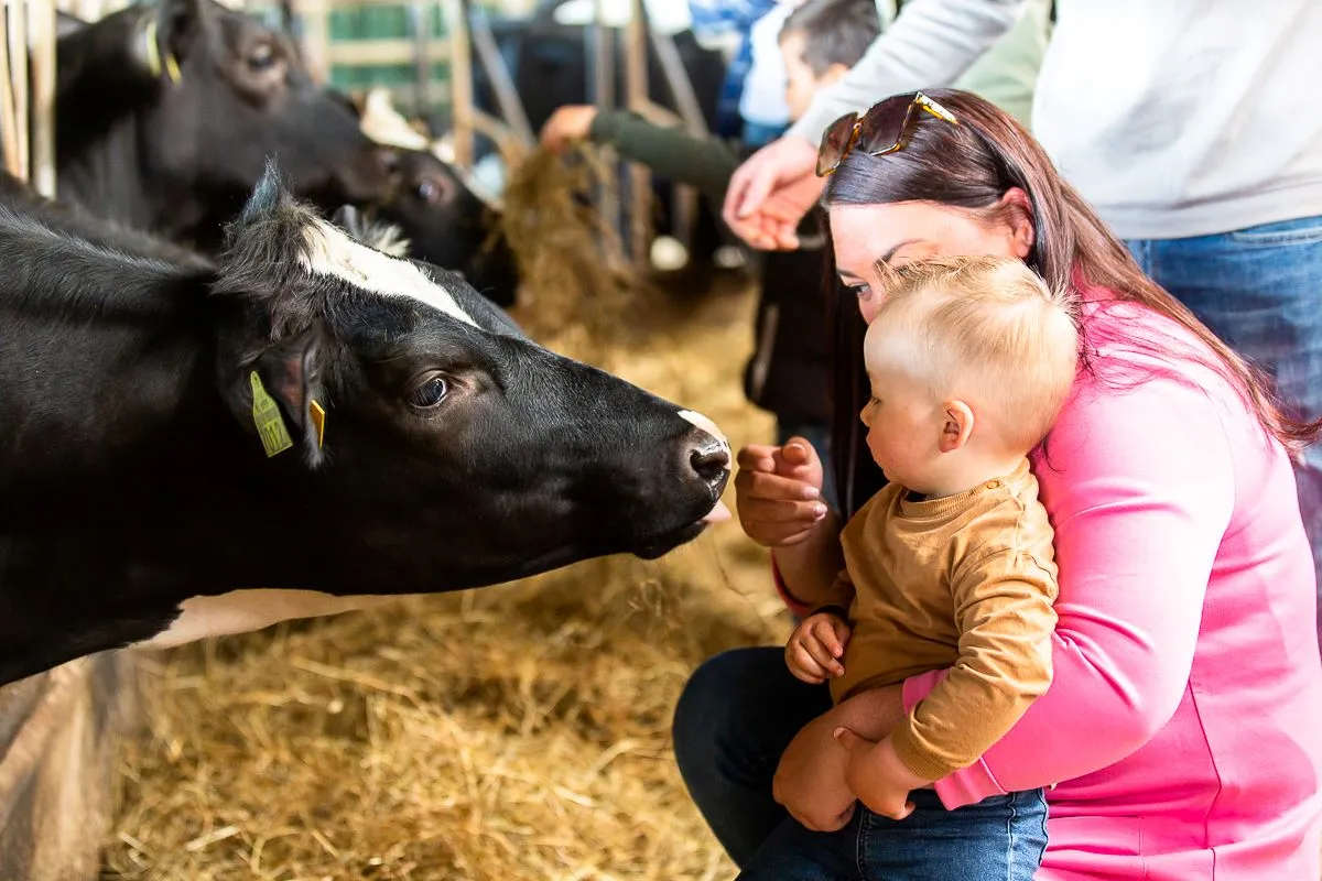 campina open boerderijdagen7