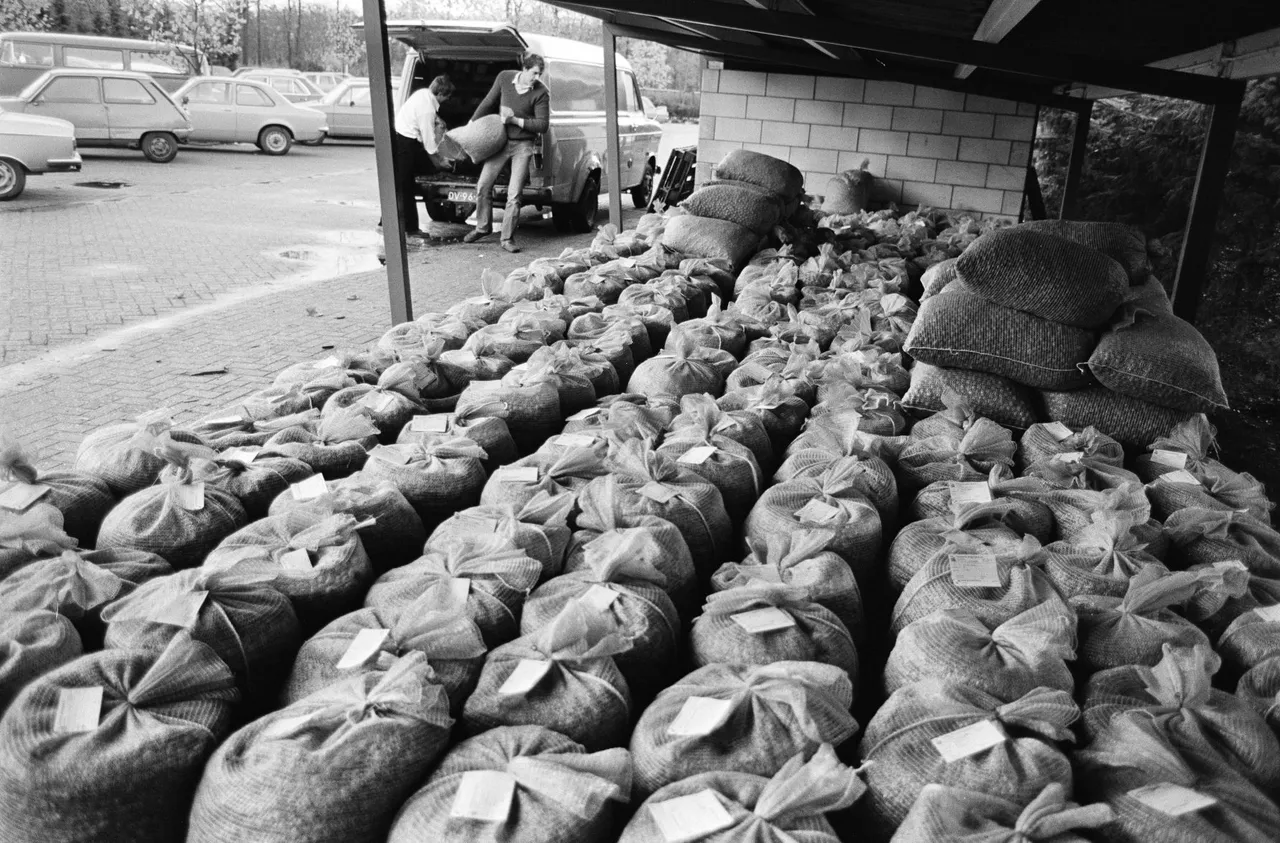 histherberg1opslagplaats eikels heidemij arnhem glda 1544 6715 0001 1