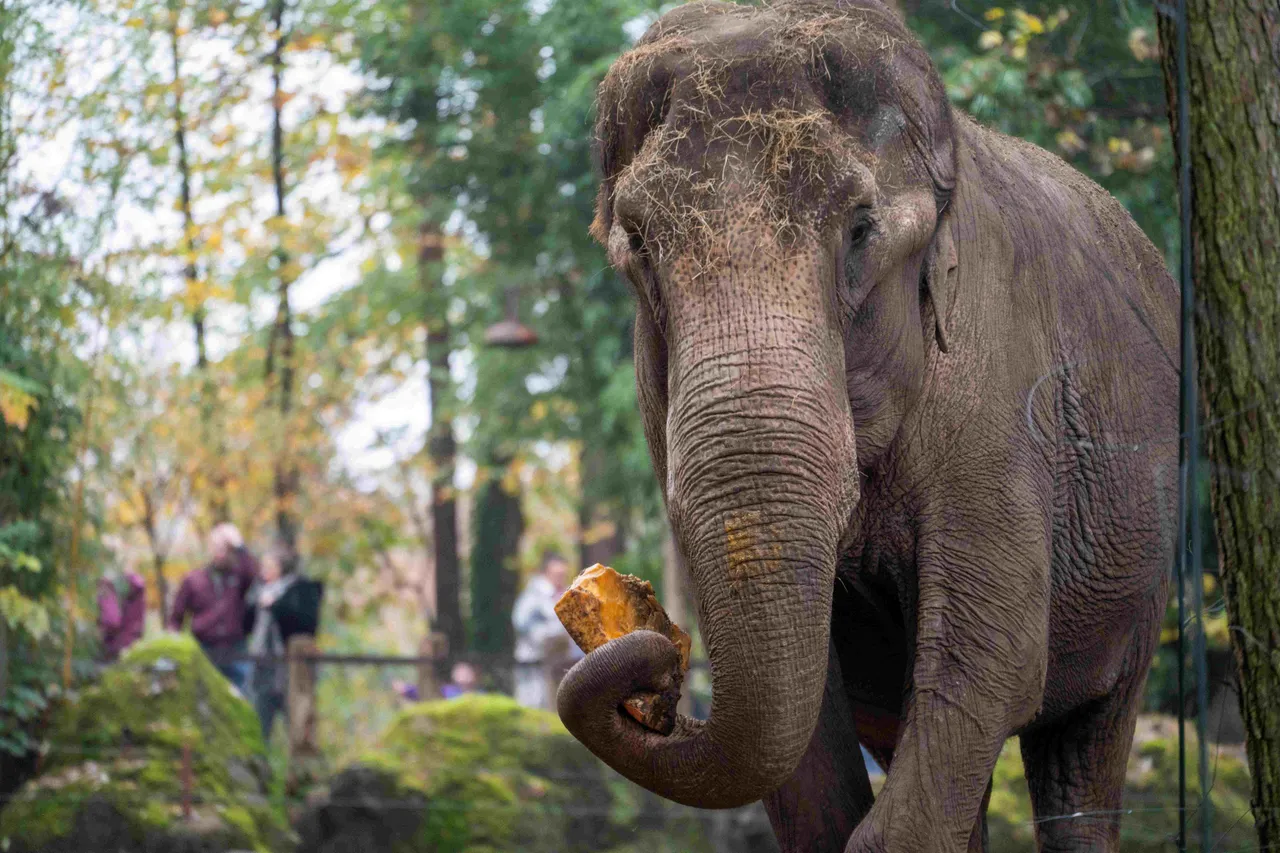 Foto's: Mira Meier.Burgers' Zoo<br>