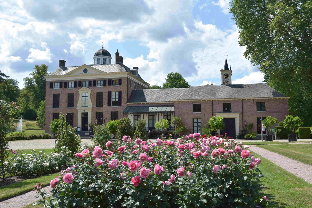 Rozentuin-rose--NV-Floor-ten-Brink-