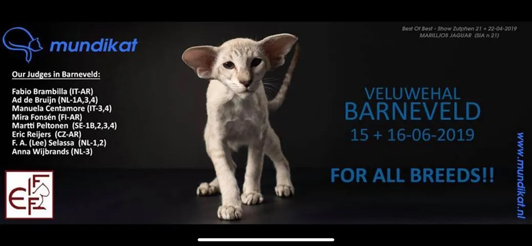 61768497 2360367937531567 6305300616625258496 n