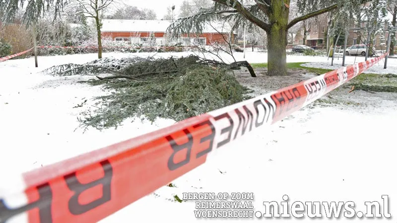 20171210 sneeuw 07