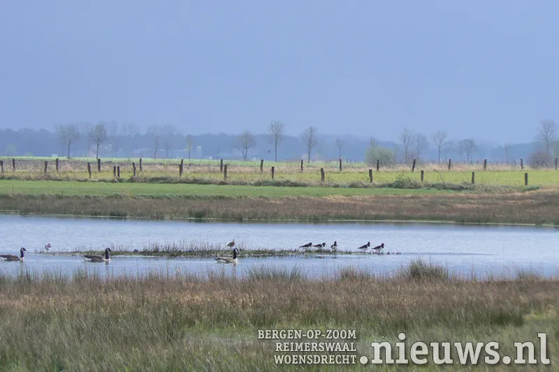 20180305 boz groenezoom 002
