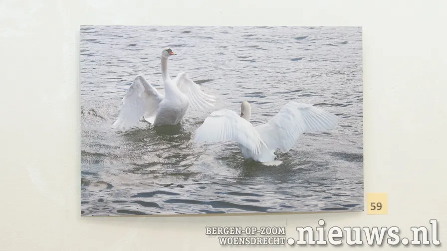 20211120 sta kunstkring 006