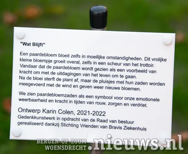 20221110 jkr boz bravis kunstwerk 010 1