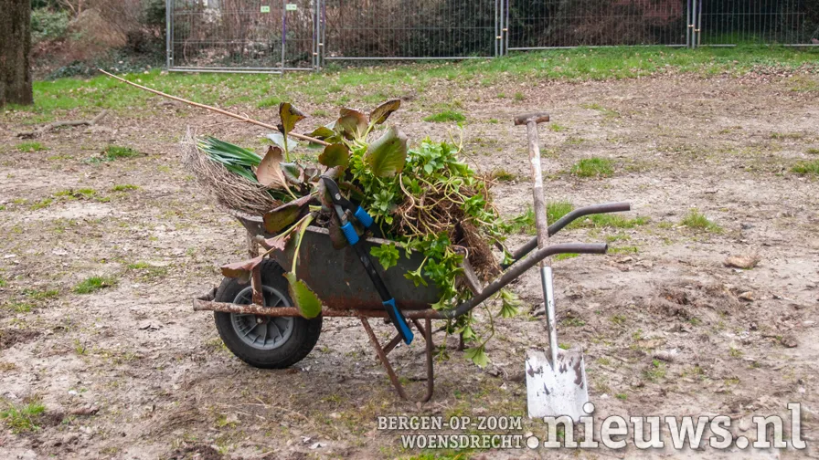 20230304 jkr boz struikrovers 004