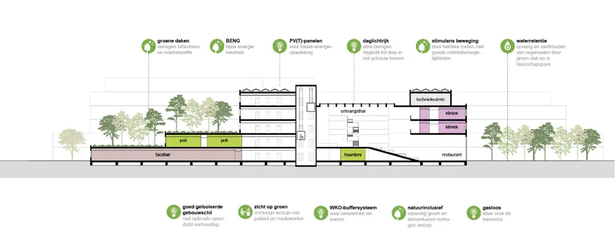 20230306 jke roo bravis 003a