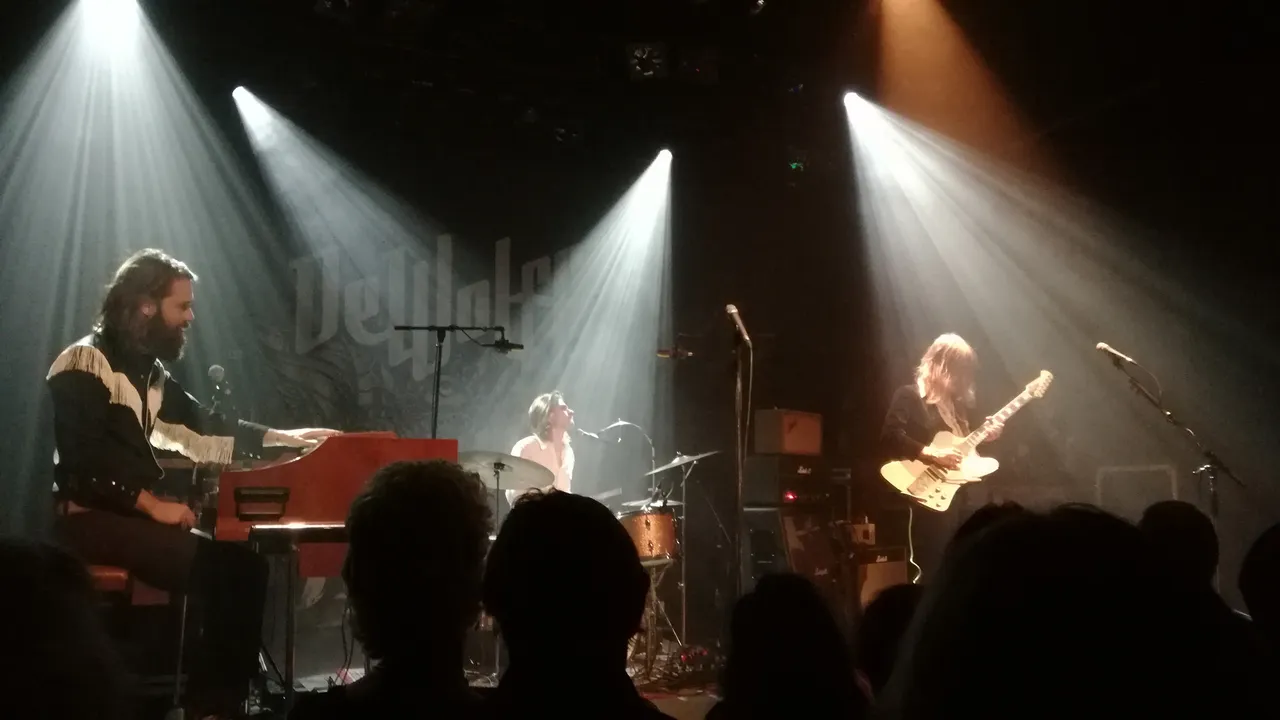 dewolff2