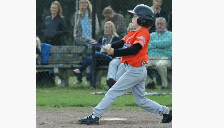 honkbal 715x408