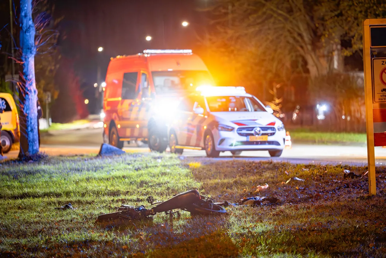 c5d12c49-5d74-4423-b683-920963984881