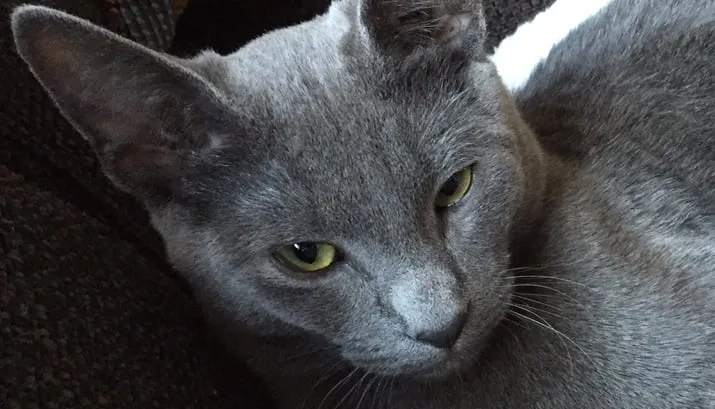 16260 wim hoofdbanner