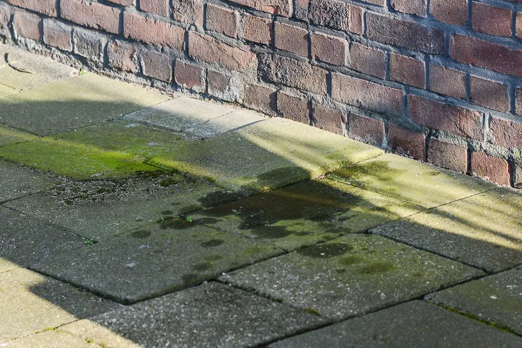 20150308 florastraat 5