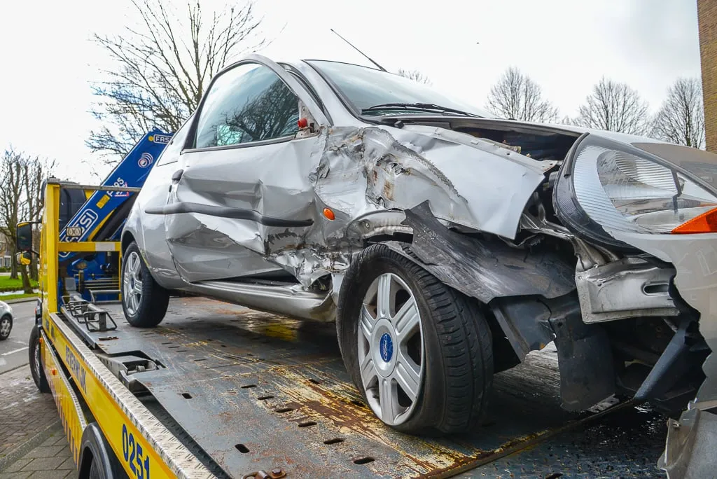 20150331 ruysdael 12