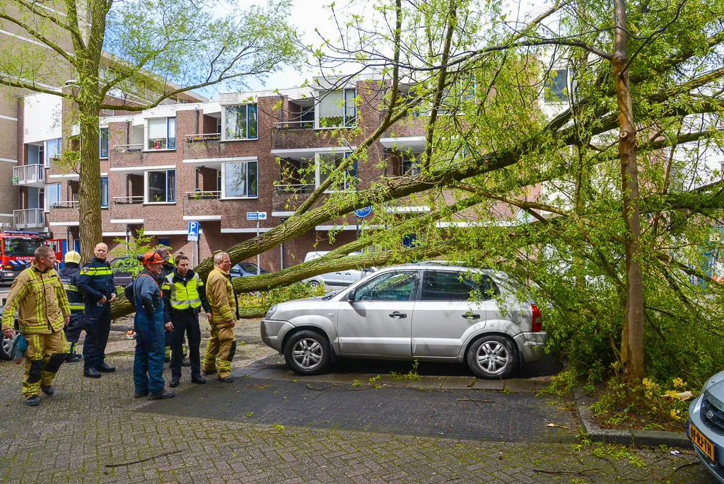 20150506 meerstraat 5