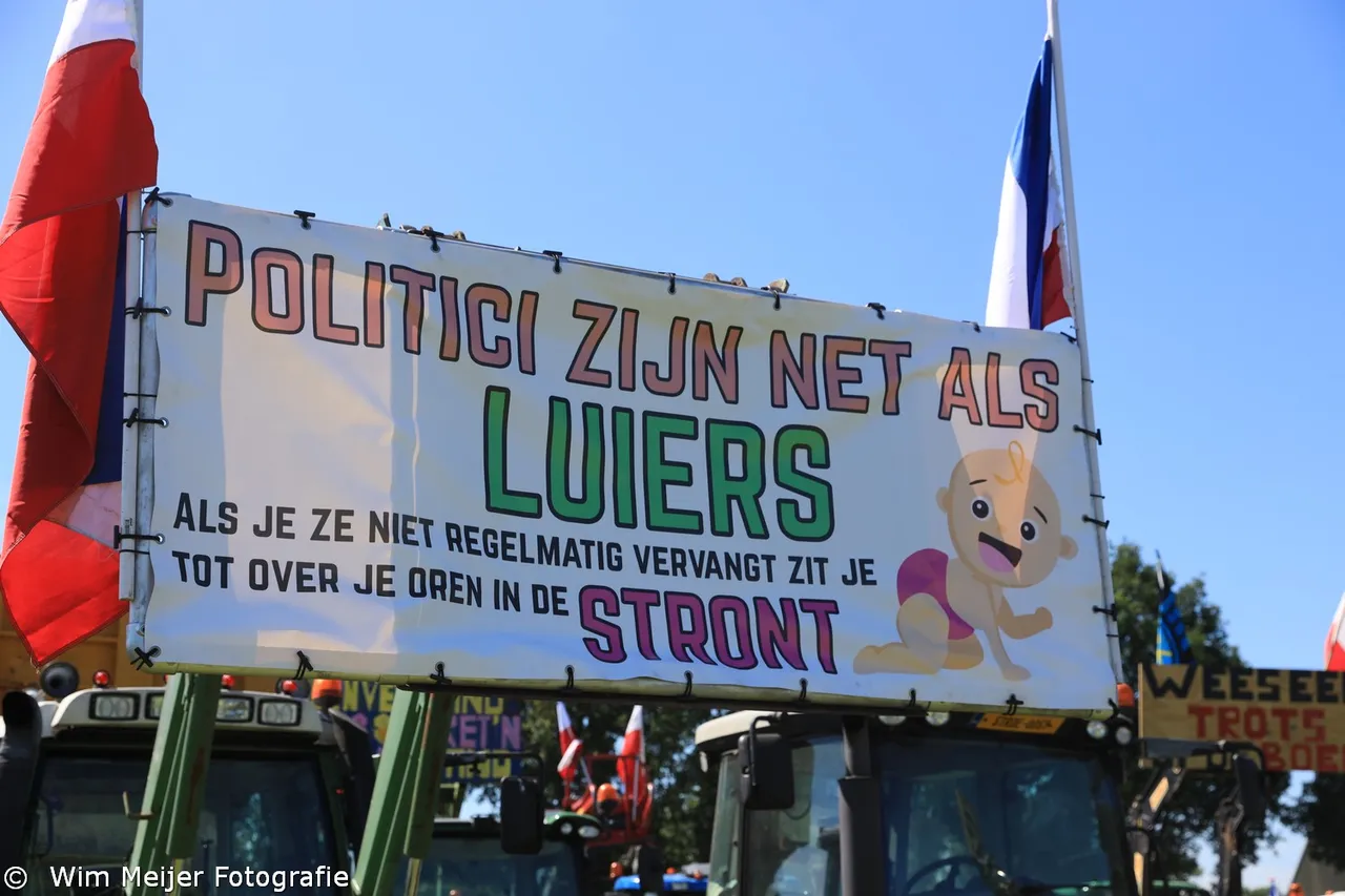 3z1a6567