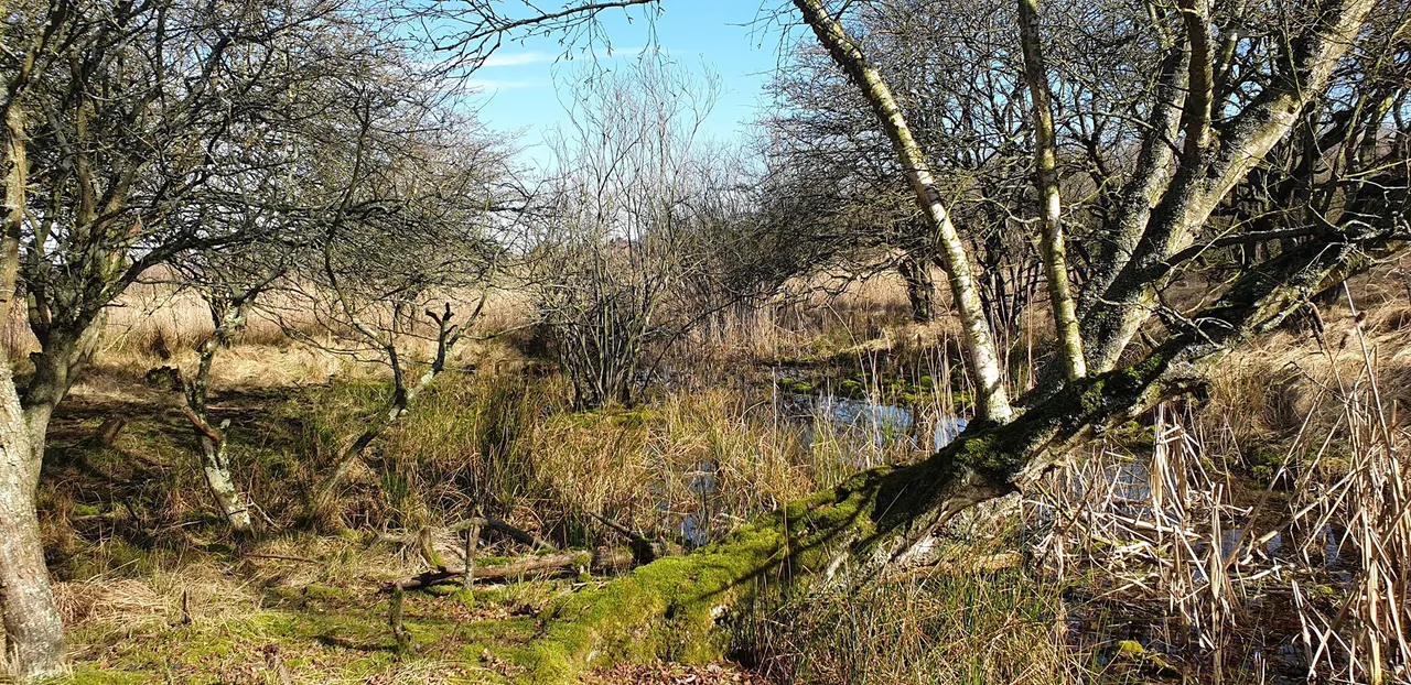 54256211 2318053001806853 605151228329984000 n