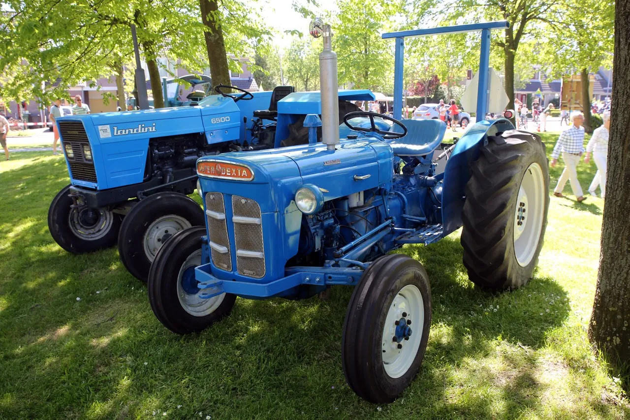 5i5a6981