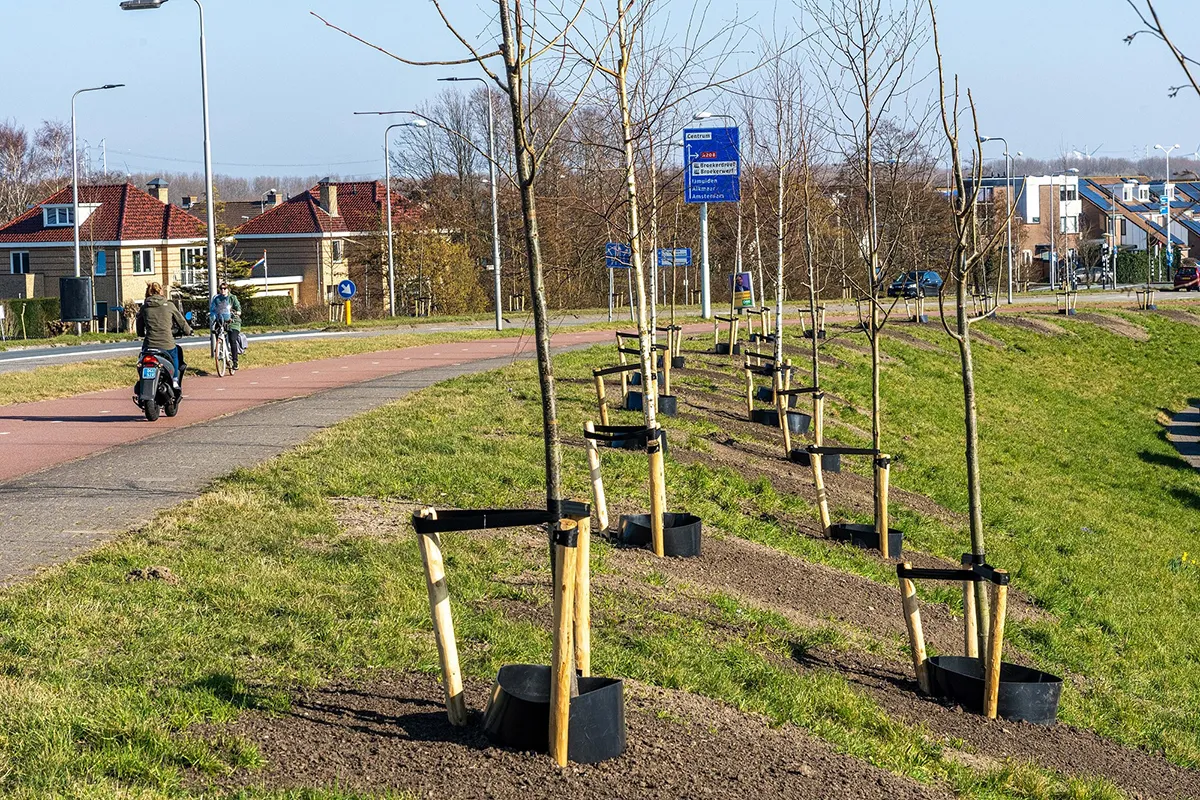 afbeelding vergroening in velsen 3