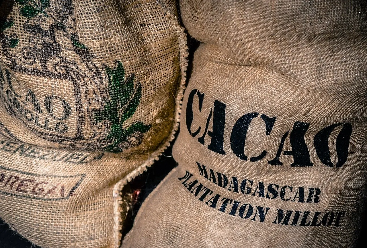 bag 2608928 1280