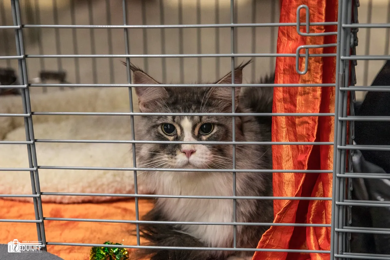 behind bars