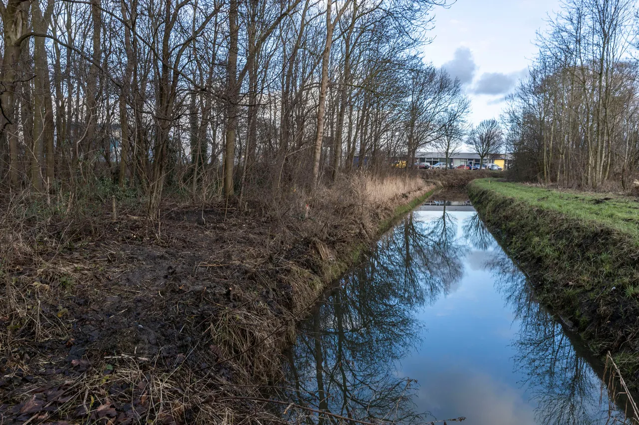 bosterrein2jpg