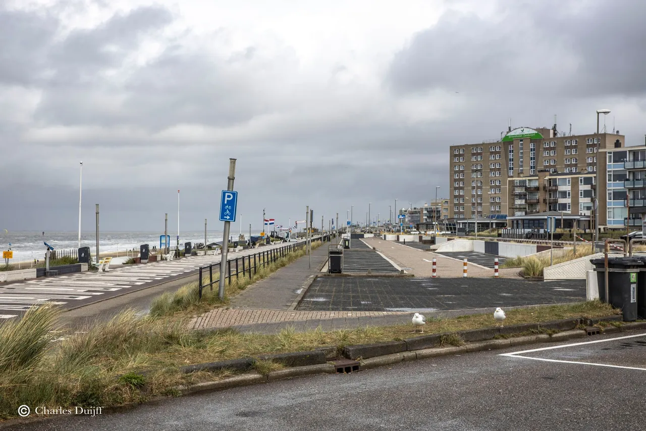 boulevard2