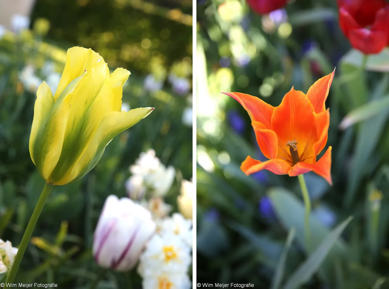combi keukenhof slot