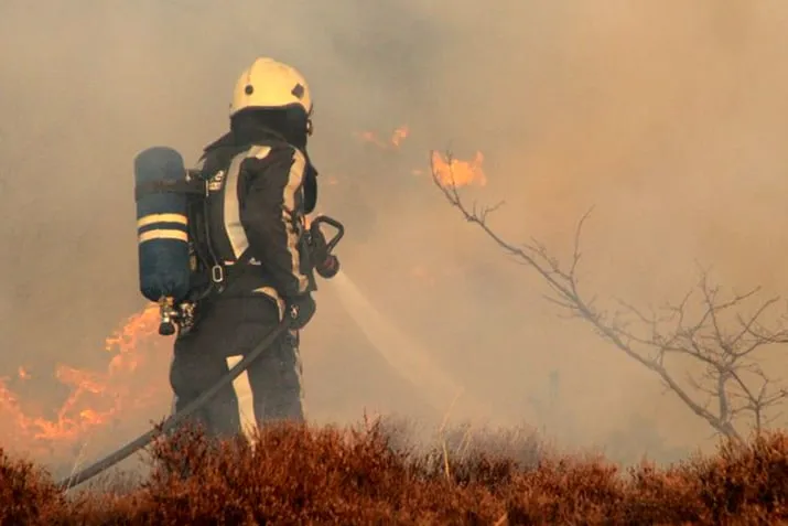 duinbrand bergen aan zee wikipedia