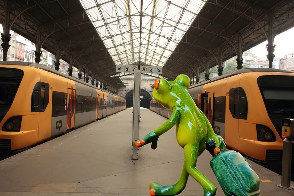 funny travel railway station fun frog farewell 1120503