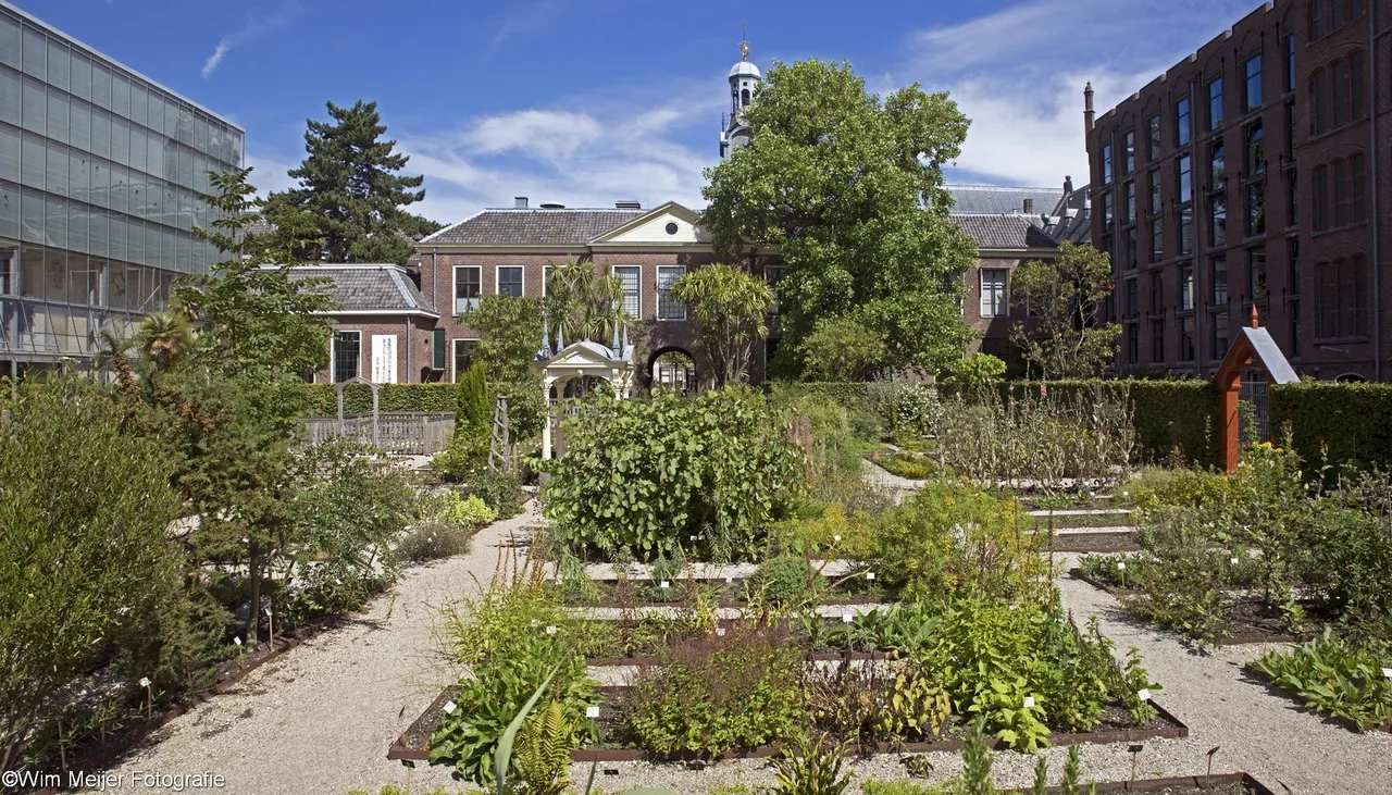 hortus leiden panorama2