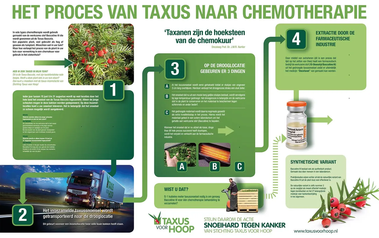 infotaxus