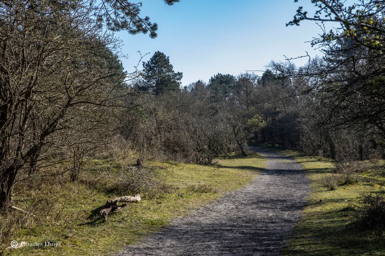 koningshof west