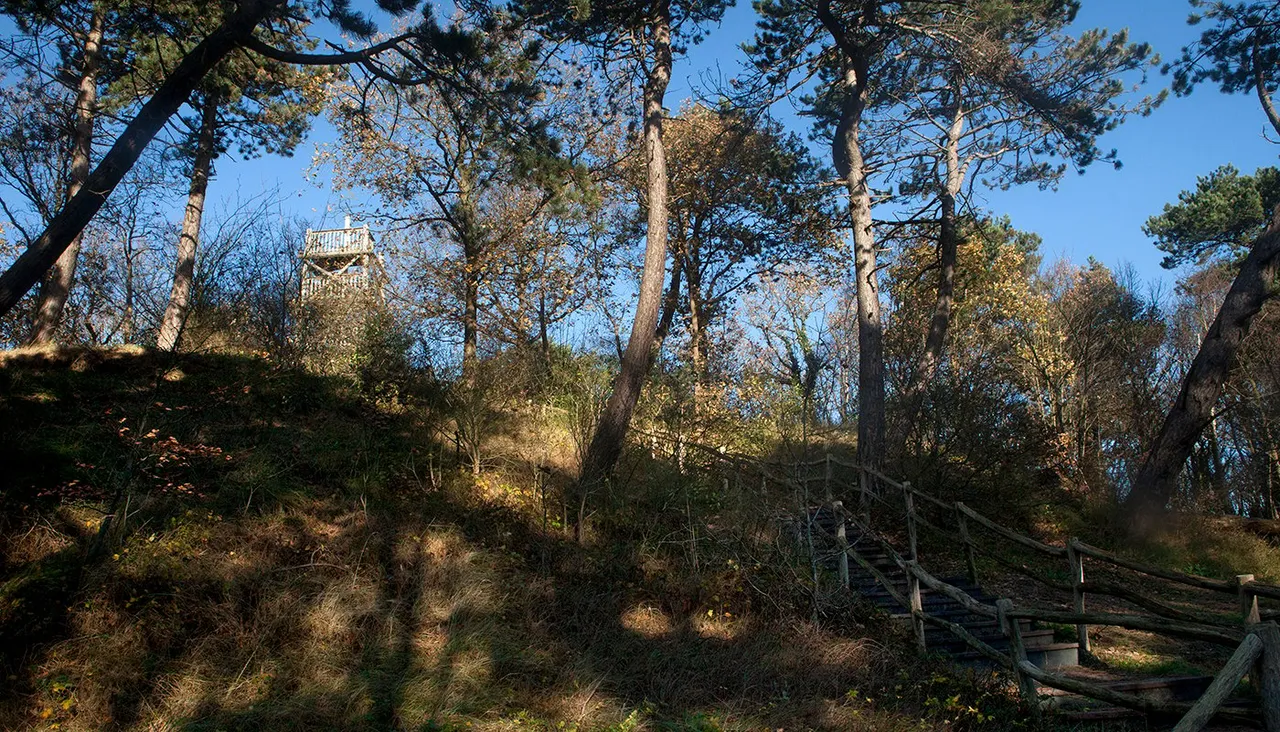 kruisberg mg 7259b