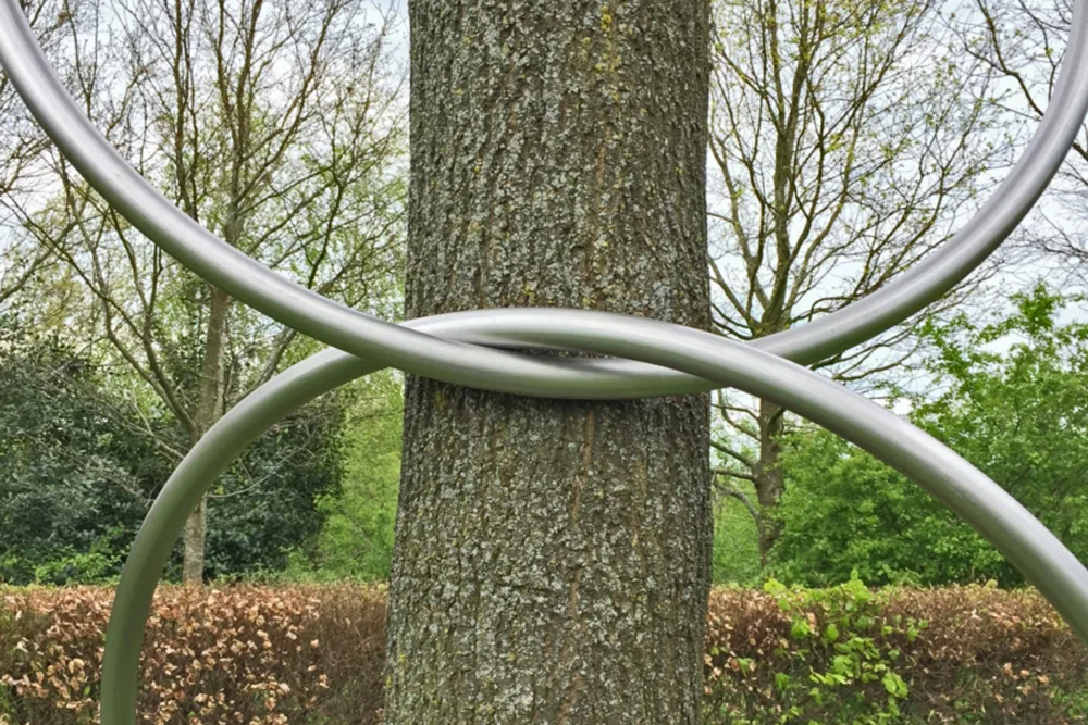 linking rings maze de boer kopieren