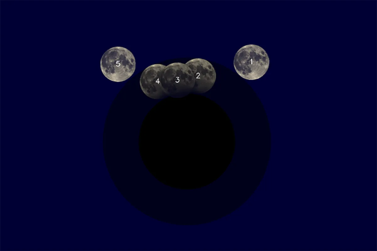 maan1