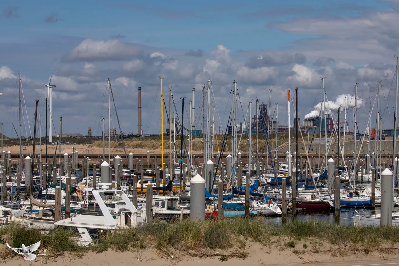 marinahaven1