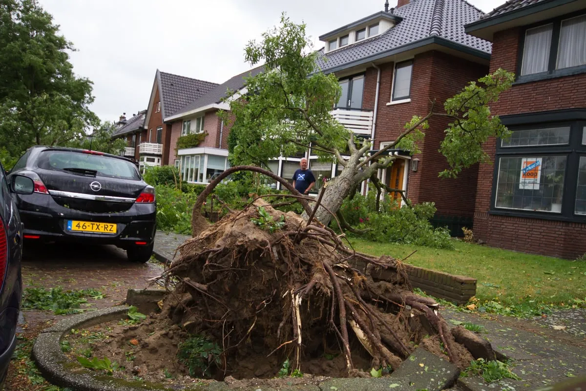 naamloos 2 van 311