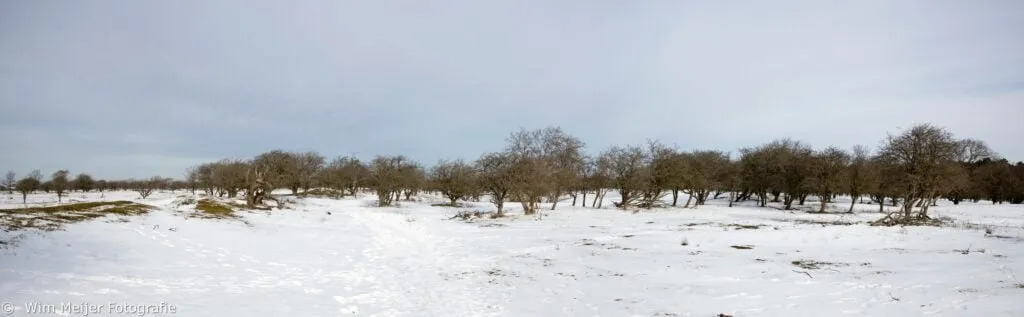 naamloos panorama awd sneeuw 1024x317