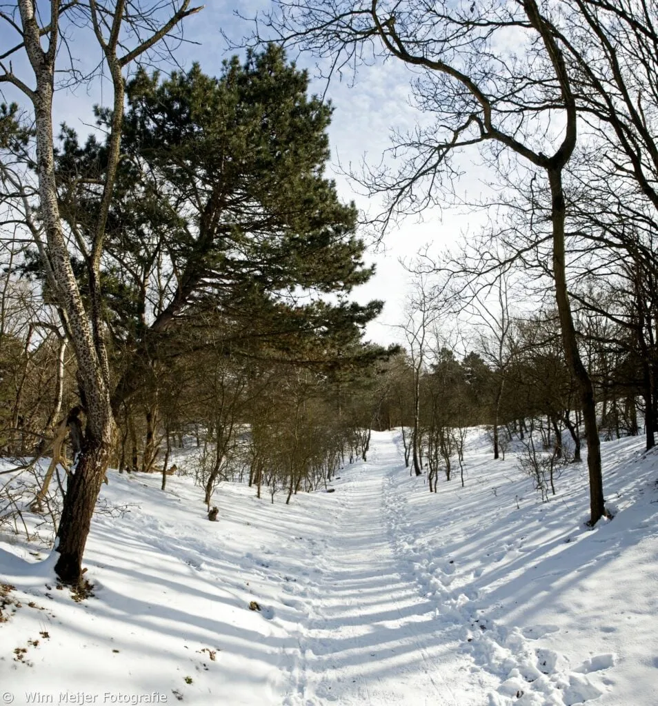 naamloos panorama2 awd sneeuw 954x1024