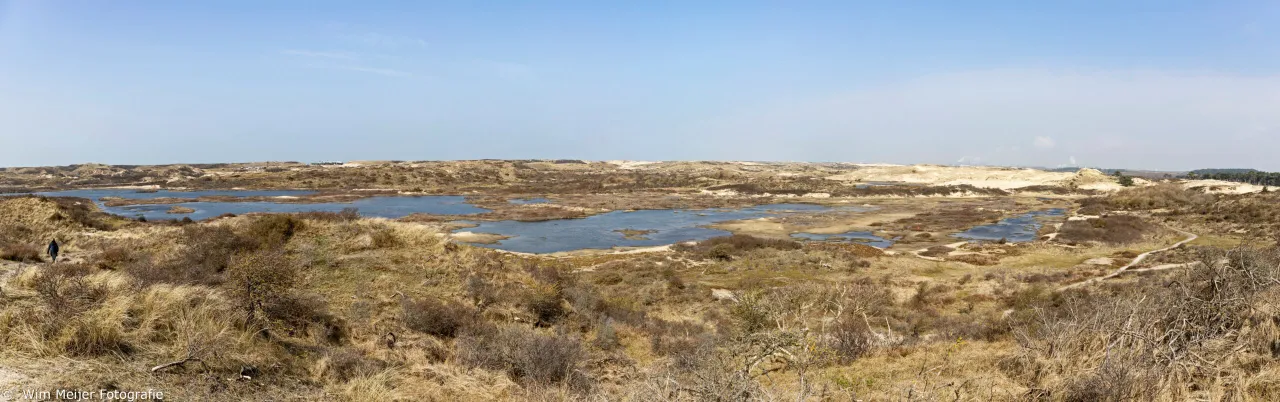 pano kennemerduinen maart 2021 wim meijer fotografie scaled 1