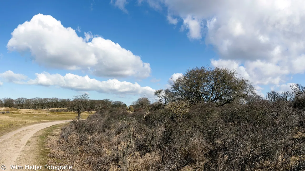 pano waterleidingduinen maart 2021 wim meijer fotografie