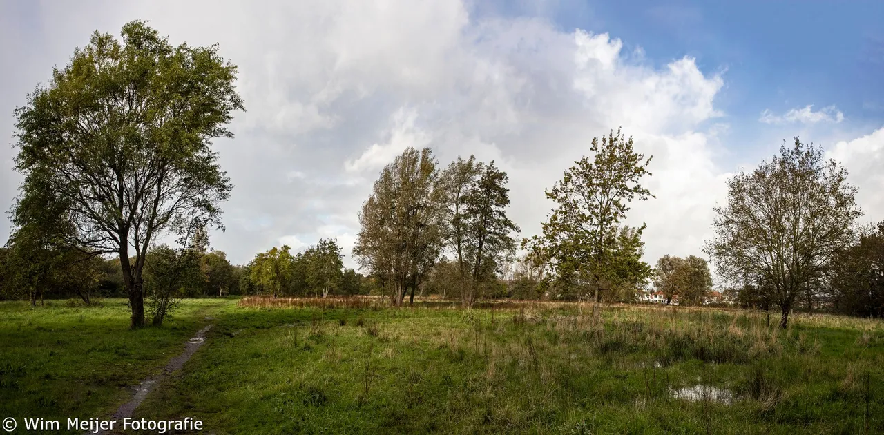 pano westerhout wim meijer fotografie