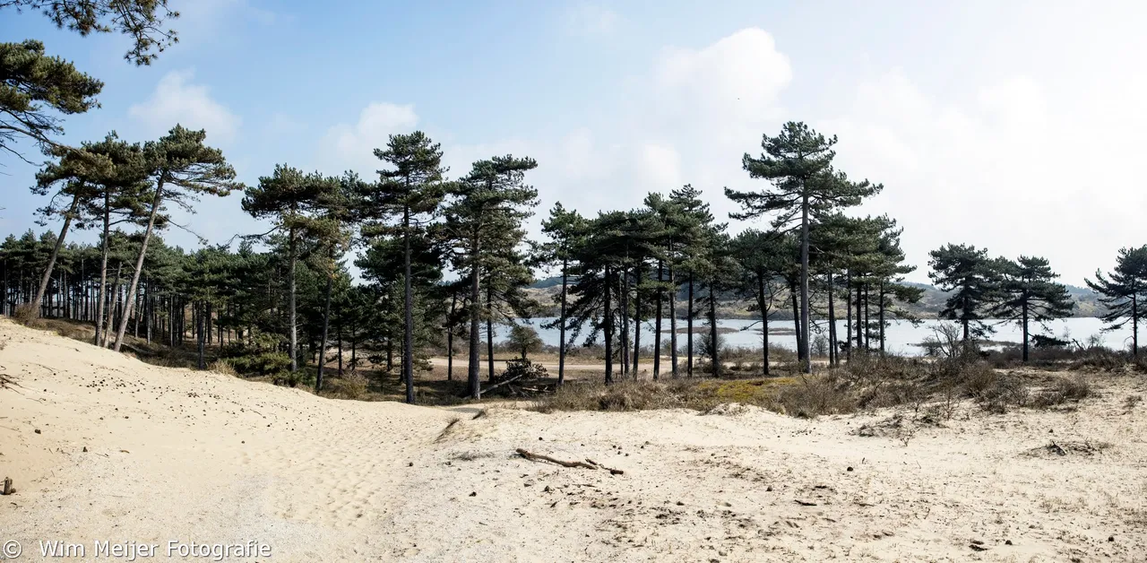 pano2 kennemerduinen maart 2021 wim meijer fotografie