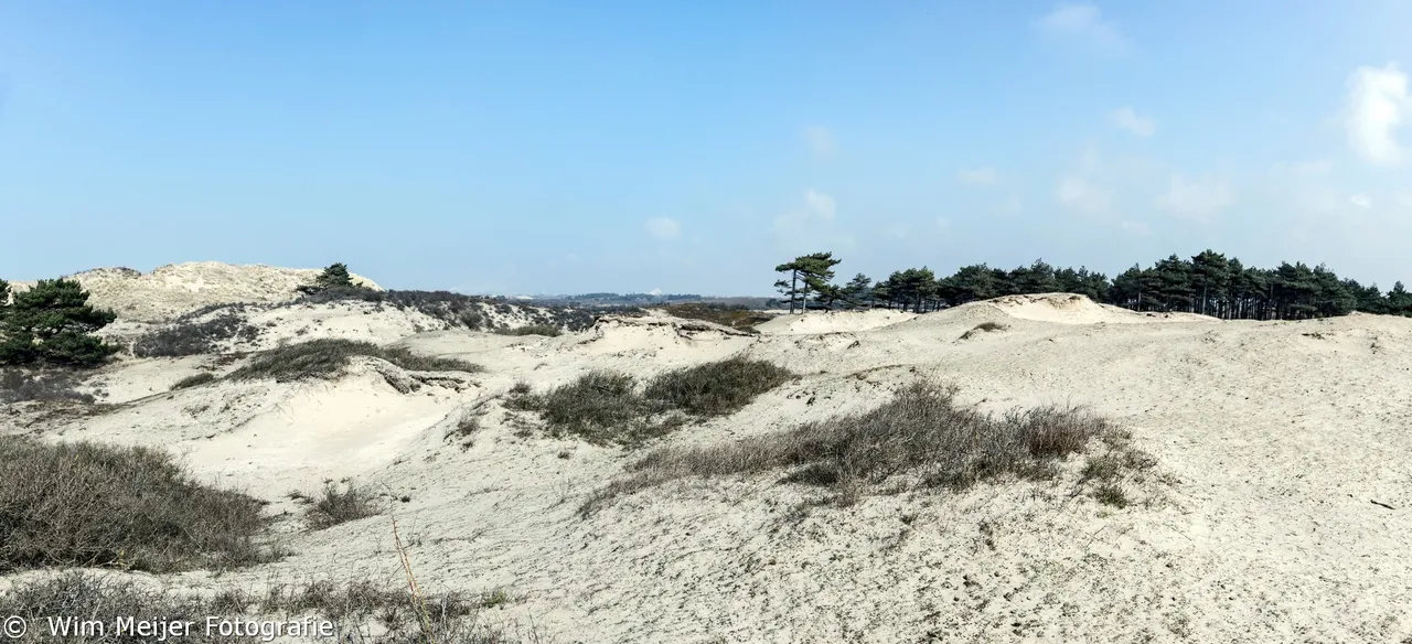 pano4 kennemerduinen maart 2021 wim meijer fotografie