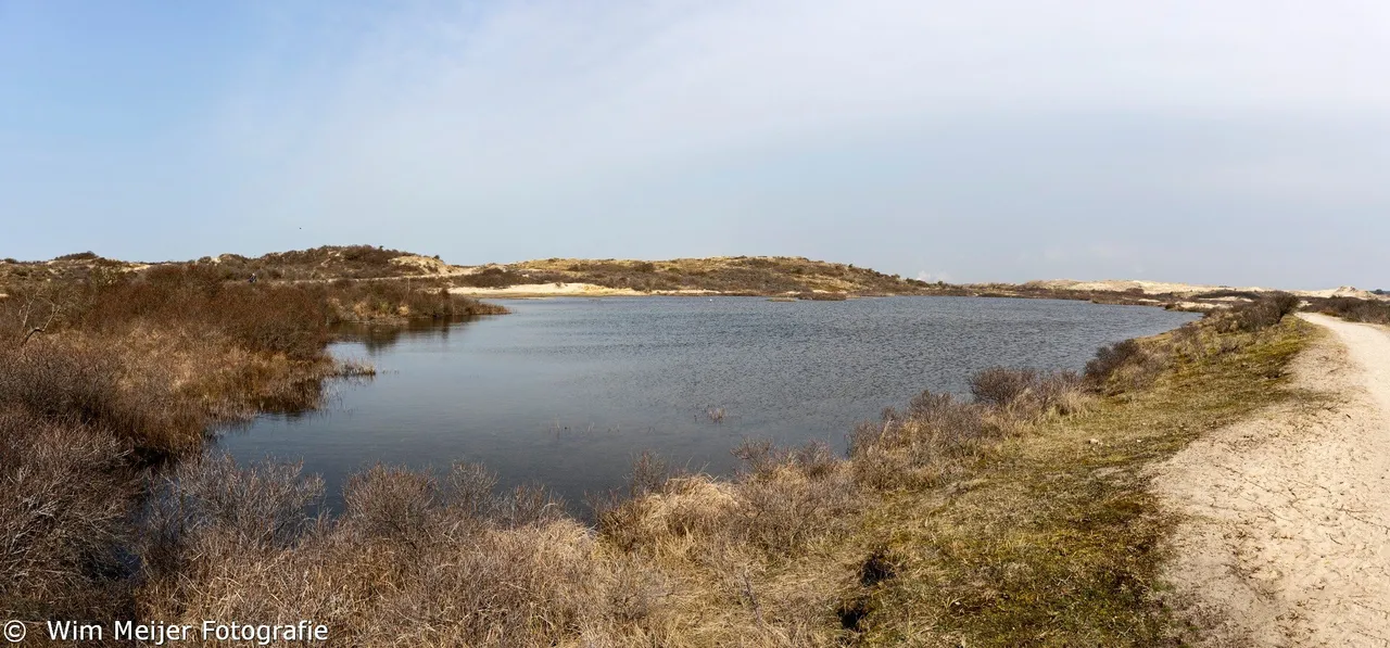 pano6 kennemerduinen maart 2021 wim meijer fotografie