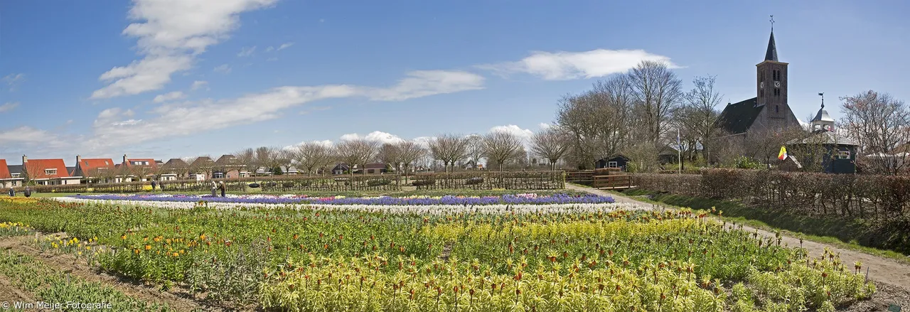 panorama hortus bulborum 1 small