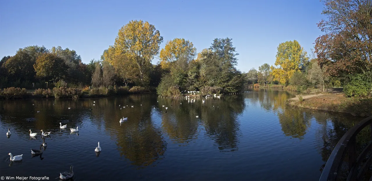panorama westerhoutpark 1