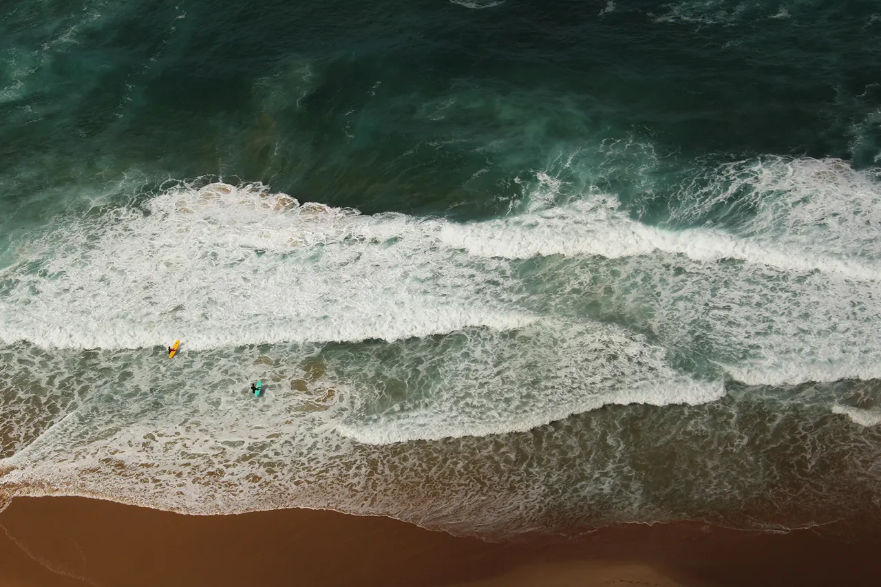 paulo baumhammer 1115895 unsplash
